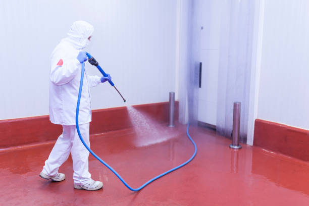 Best Post-Construction Pressure Washing  in Edgewood, MD