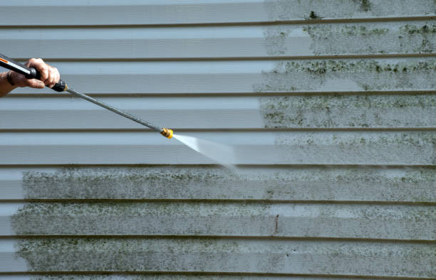 Best Gutter Cleaning  in Edgewood, MD