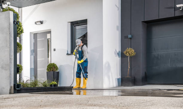 Best Paint Preparation  in Edgewood, MD